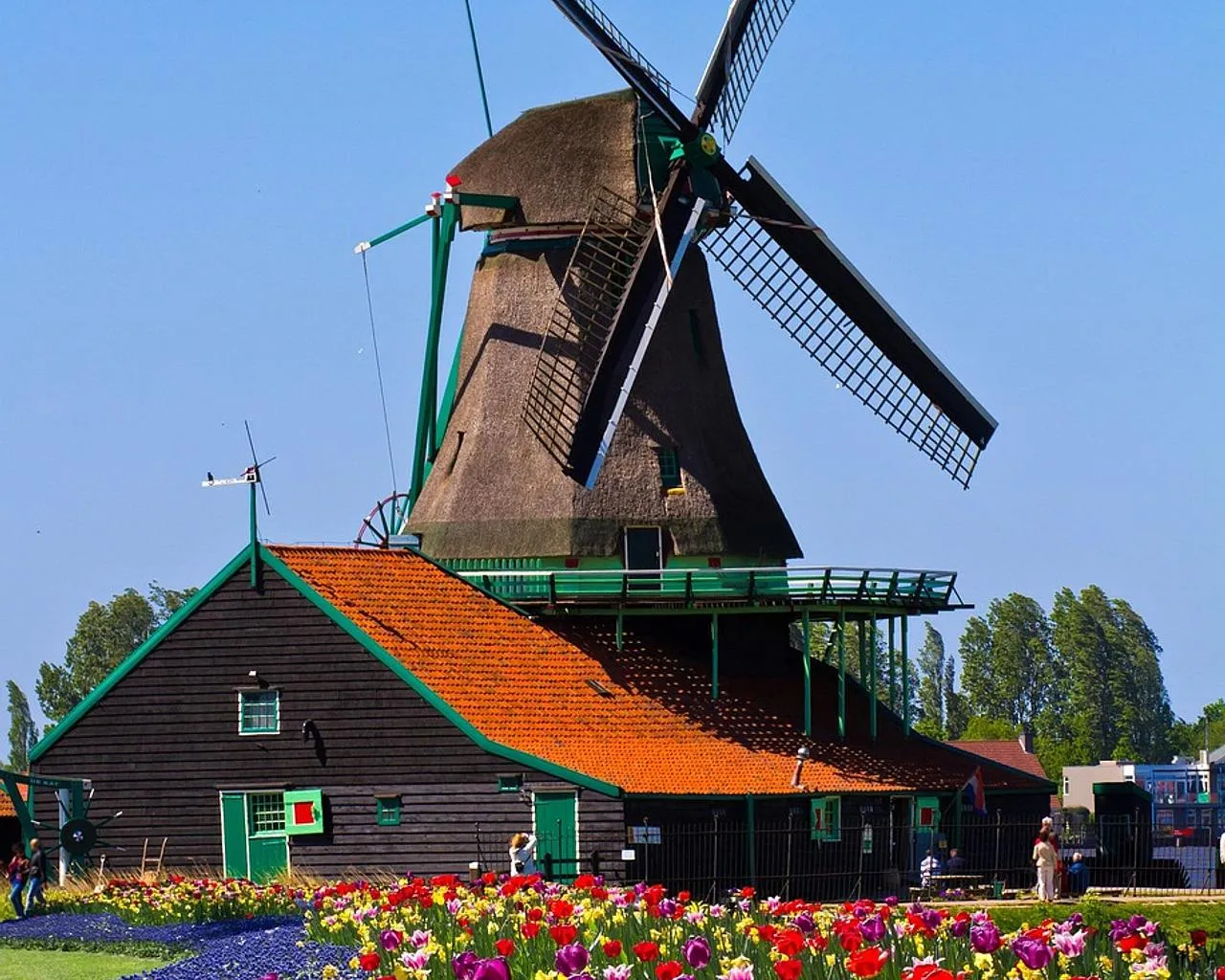 Jak se žije v Nizozemsku očima Nizozemců