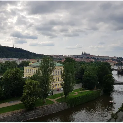 House and surroundings