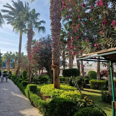 House and surroundings